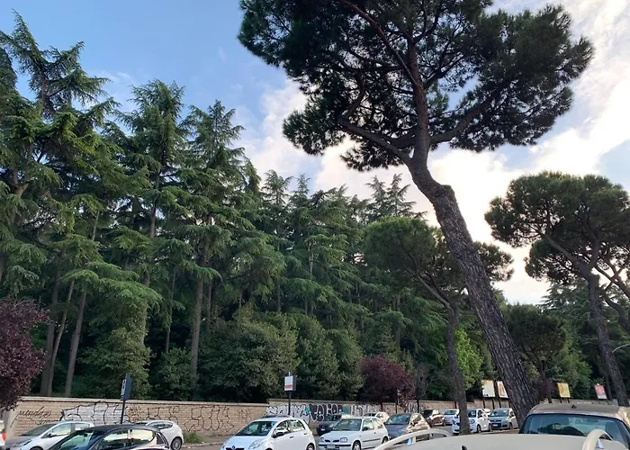 Roma Amor 396Готель